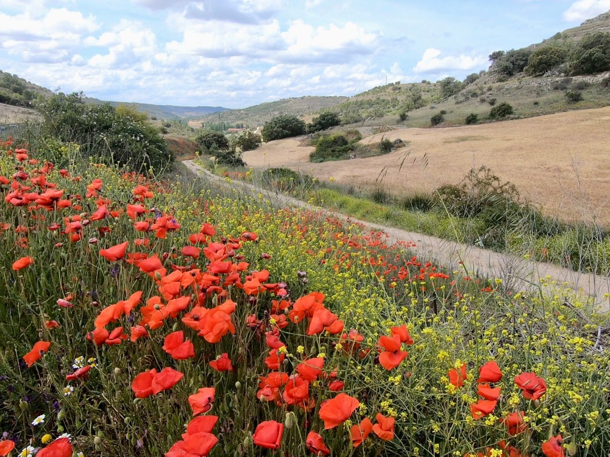 Verslag en filmpjes van de Ruta Iberica